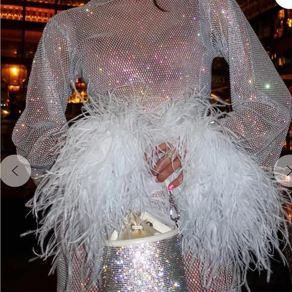 Santa Designer sparkling rhinestone dress with Feather Cuffs Exquisite statement - Picture 3 of 9